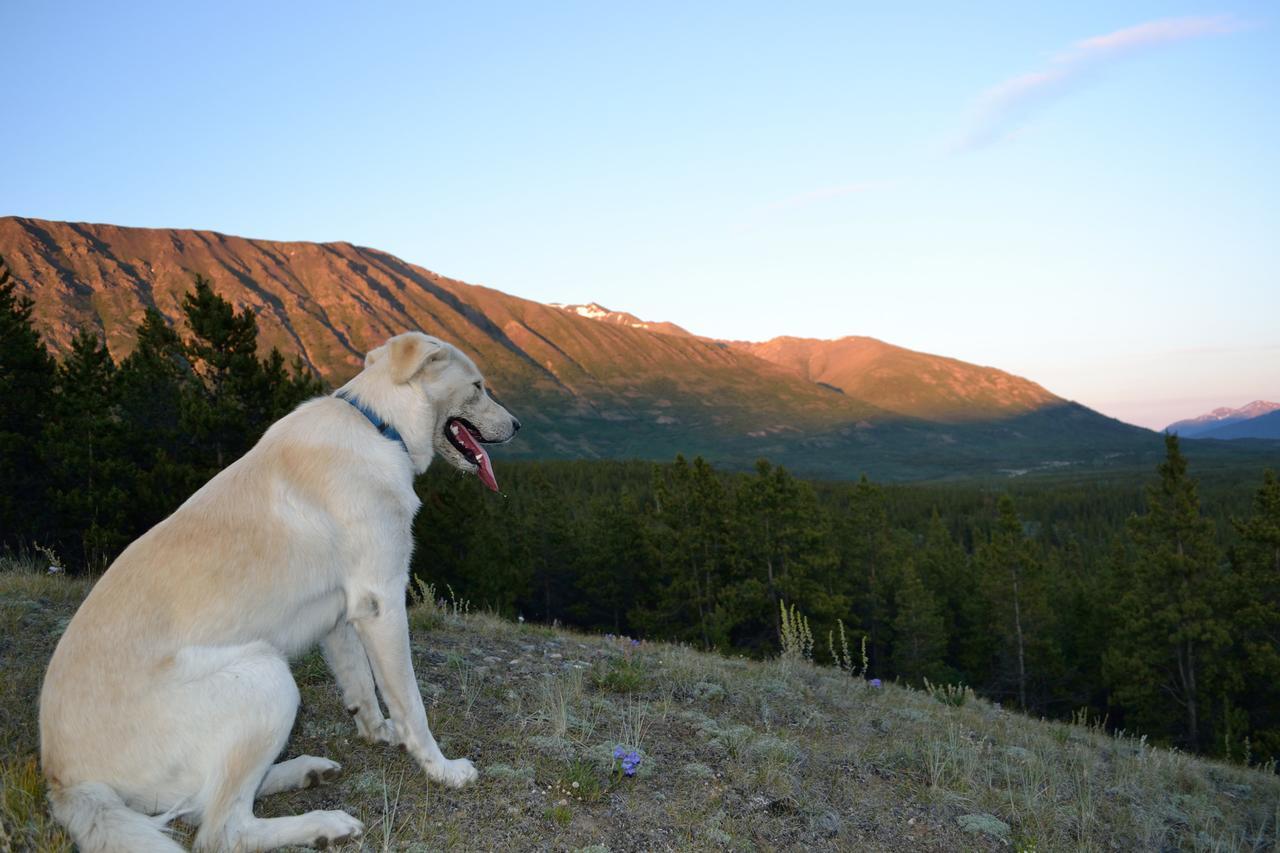 Spirit Lake Lodge Carcross Buitenkant foto
